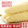东北白糯玉米/黄糯玉米/黑糯玉米，真空锁鲜，颗粒饱满，香黏软糯，老少皆宜，特别适合身材管理期人群，全国包邮 商品缩略图5