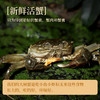 <有书独家>【节日礼盒】不等 综合蟹礼全家福礼盒 510g/秃黄油蟹礼礼盒 310g 商品缩略图3
