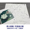 【大彩图】李晓明工笔画白描底稿斗方小品《白荷栖翠》荷花临摹勾线花鸟线稿K082 商品缩略图1