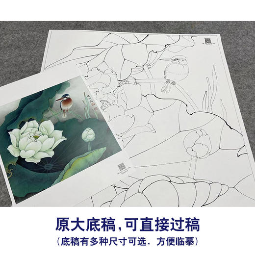 【大彩图】李晓明工笔画白描底稿斗方小品《白荷栖翠》荷花临摹勾线花鸟线稿K082 商品图1