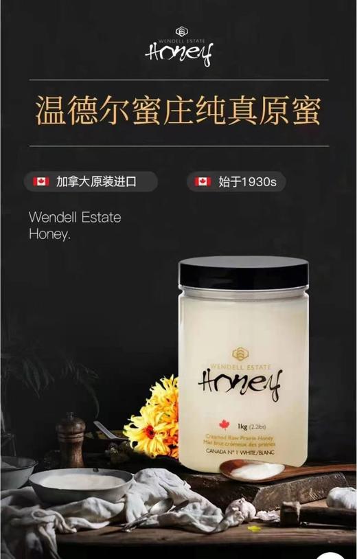 加拿大原产白蜜 原蜜 获多项国际大赛金奖 一年只产一次 粘稠香甜 无任何添加 原装进口 包邮 |百里食 商品图3