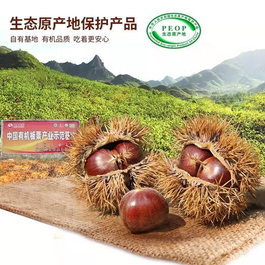 【部分地区不发货，具体看详情页】正耕 神栗有机鲜板栗 商品图1