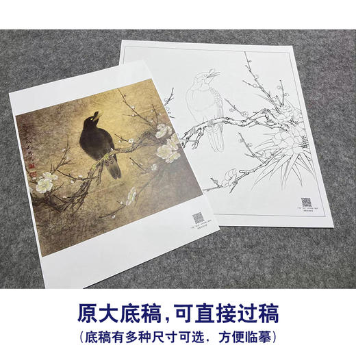 【大彩图】李晓明工笔画白描底稿斗方小品《梅花八哥》临摹勾线花鸟线稿K062 商品图1