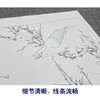 【大彩图】李晓明工笔画白描底稿斗方小品《白梅花鸲鹆》临摹勾线花鸟线稿K055 商品缩略图4