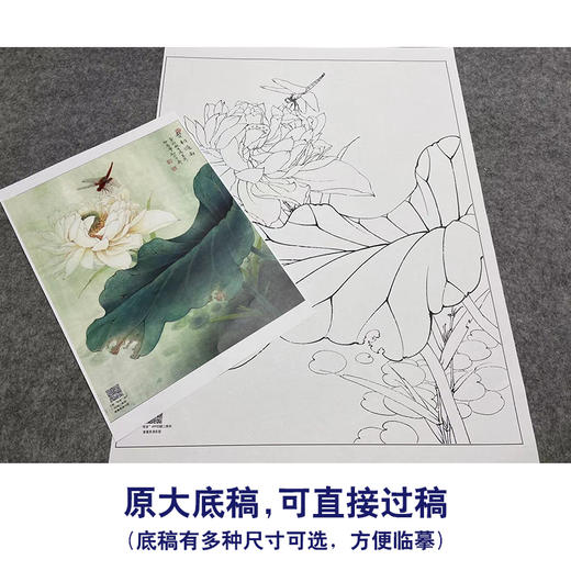 【大彩图】李晓明工笔画白描底稿小品《碧叶连天》荷花临摹勾线花鸟线稿K083 商品图1