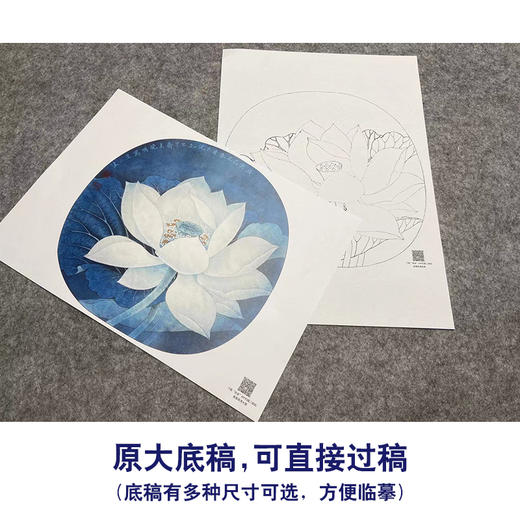 【大彩图】李晓明工笔画白描底稿小品《出水芙蓉》荷花临摹勾线花鸟线稿K078 商品图1