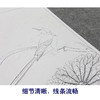 【大彩图】李晓明工笔画白描底稿斗方小品《临宋疏荷沙鸟图》临摹勾线花鸟线稿K067 商品缩略图4