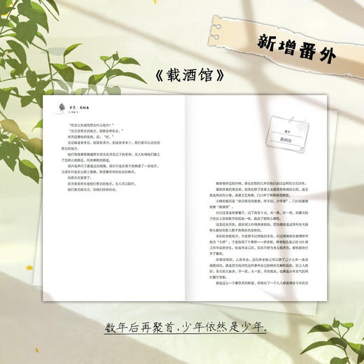 别装 完结篇 林七年 著 青春文学 商品图3