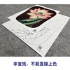 【大彩图】李晓明工笔画白描底稿宫扇《泽艳红芝花》荷花临摹勾线花鸟线稿K077 商品缩略图2