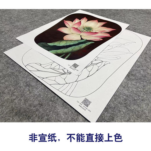 【大彩图】李晓明工笔画白描底稿宫扇《泽艳红芝花》荷花临摹勾线花鸟线稿K077 商品图2