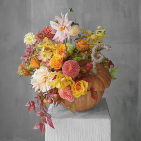 缤纷盛装 Dress Up