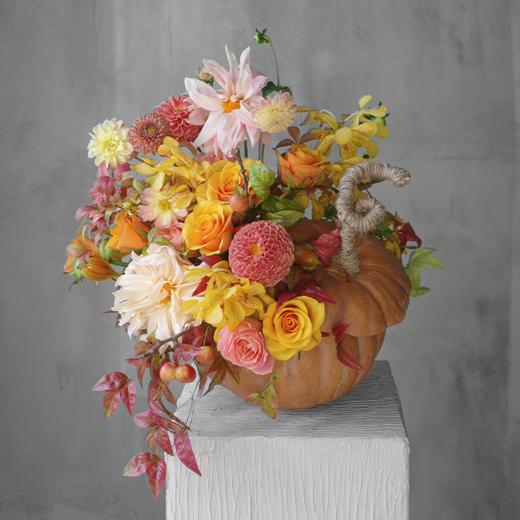 缤纷盛装 Dress Up 商品图0