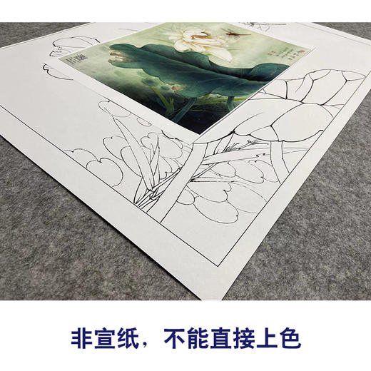 【大彩图】李晓明工笔画白描底稿小品《碧叶连天》荷花临摹勾线花鸟线稿K083 商品图2
