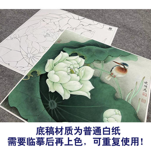 【大彩图】李晓明工笔画白描底稿斗方小品《白荷栖翠》荷花临摹勾线花鸟线稿K082 商品图3