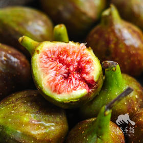 生态无花果（芭劳奈） | 合作生产*Ecological figs｜Coproducted