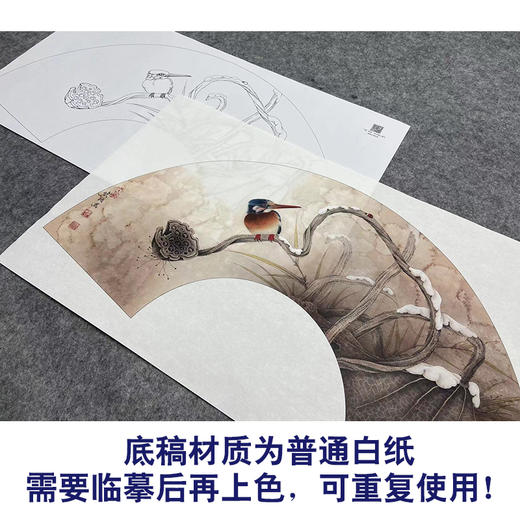 【大彩图】李晓明工笔画白描底稿扇面小品《荷花》临摹勾线花鸟线稿K075 商品图3