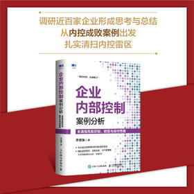 企业内部控制案例分析 全流程风险识别防范与应对思路 内控人员案头常备书籍 内控案例解读 内控流程拿来即用