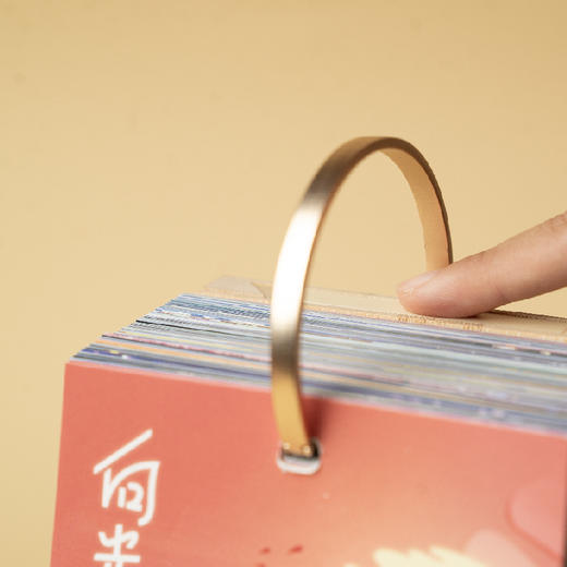 送小王子模型（随机四选一）    十点读书 《向光而行2024听书日历》 商品图5