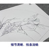 【大彩图】李晓明工笔画白描底稿扇面小品《荷花》临摹勾线花鸟线稿K074 商品缩略图4
