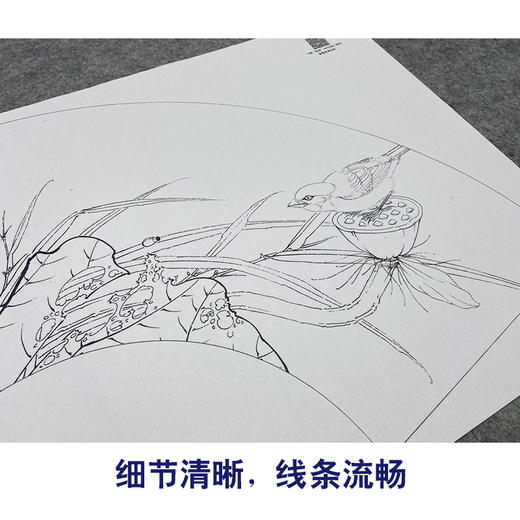 【大彩图】李晓明工笔画白描底稿扇面小品《荷花》临摹勾线花鸟线稿K074 商品图4