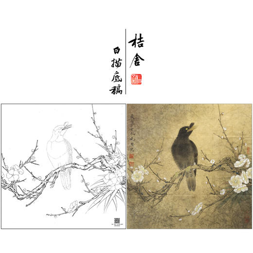 【大彩图】李晓明工笔画白描底稿斗方小品《梅花八哥》临摹勾线花鸟线稿K062 商品图0