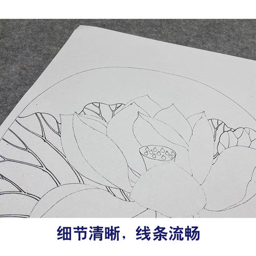 【大彩图】李晓明工笔画白描底稿小品《出水芙蓉》荷花临摹勾线花鸟线稿K078 商品图4