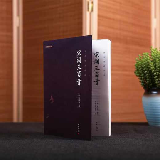 谦德国学文库 宋词三百首（新版） 商品图1