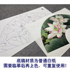 【大彩图】李晓明工笔画白描底稿扇面小品《十里荷香》荷花临摹勾线花鸟线稿K076 商品缩略图3