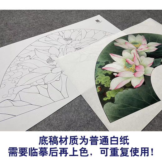 【大彩图】李晓明工笔画白描底稿扇面小品《十里荷香》荷花临摹勾线花鸟线稿K076 商品图3
