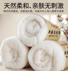 新疆长绒棉 手工棉花卷 500g*2卷(约90*200cm) 商品缩略图3
