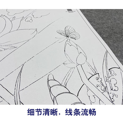 【大彩图】李晓明工笔画白描底稿《白蝶粉荷》荷花临摹勾线花鸟线稿K081 商品图4