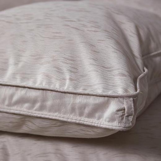 6F堂皇  奢.至暖匈牙利进口95白鹅绒冬被 商品图2