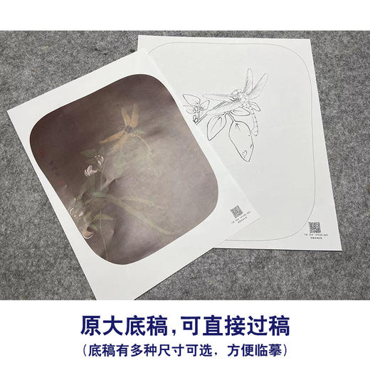【大彩图】工笔画白描底稿宫扇小品《临宋豆花蜻蜓图》临摹勾线花鸟线稿K056 商品图1