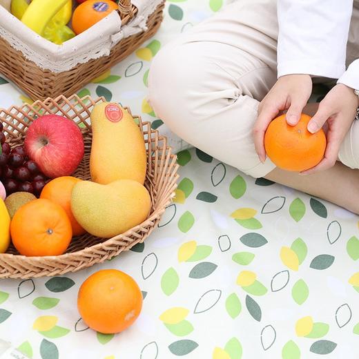 【积分新品】陆续发货-驿客防水野餐垫（小飞叶） 商品图4