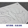 【大彩图】李晓明工笔画白描底稿扇面小品《荷花》临摹勾线花鸟线稿K073 商品缩略图4
