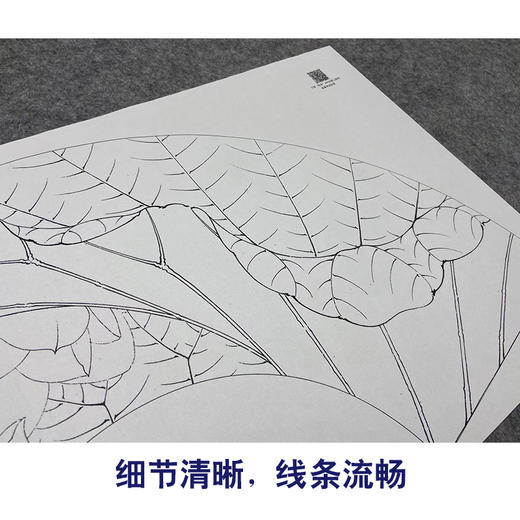 【大彩图】李晓明工笔画白描底稿扇面小品《荷花》临摹勾线花鸟线稿K073 商品图4