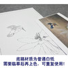 【大彩图】李晓明工笔画白描底稿《独舞晨风中》荷花临摹勾线花鸟线稿K080 商品缩略图3