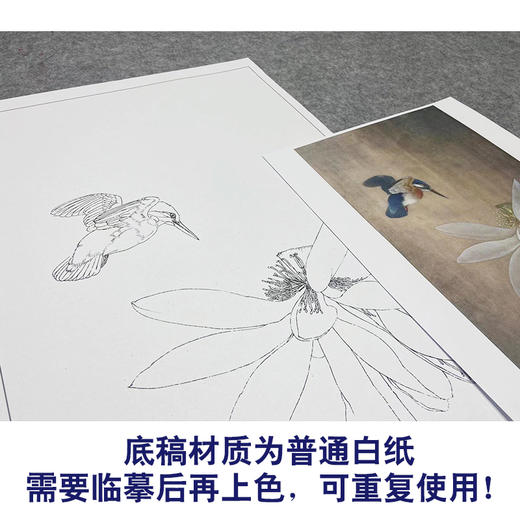 【大彩图】李晓明工笔画白描底稿《独舞晨风中》荷花临摹勾线花鸟线稿K080 商品图3