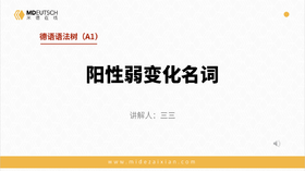 A1-22. 阳性名词弱变化