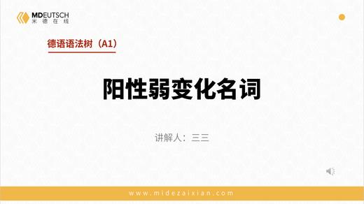 A1-22. 阳性名词弱变化 商品图0