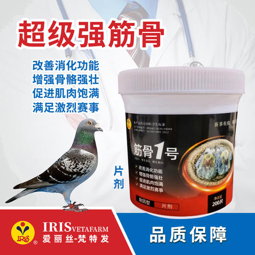 【爱丽丝】筋骨1号（幼鸽型）200片 商品图0