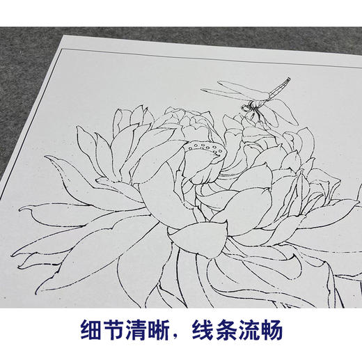 【大彩图】李晓明工笔画白描底稿小品《碧叶连天》荷花临摹勾线花鸟线稿K083 商品图4