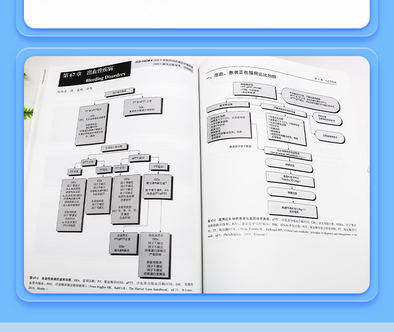 9787565924927-Ferri-临床诊疗指南——临床常见疾病诊疗流程图_05.jpg