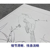 【大彩图】李晓明工笔画白描底稿小品《临宋竹鸠图》临摹勾线花鸟线稿K060 商品缩略图4