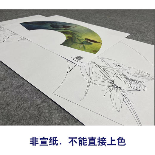 【大彩图】李晓明工笔画白描底稿扇面小品《荷花》临摹勾线花鸟线稿K074 商品图2