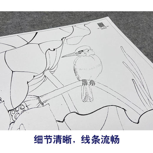 【大彩图】李晓明工笔画白描底稿斗方小品《白荷栖翠》荷花临摹勾线花鸟线稿K082 商品图4