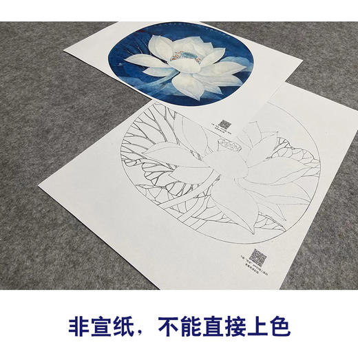 【大彩图】李晓明工笔画白描底稿小品《出水芙蓉》荷花临摹勾线花鸟线稿K078 商品图2