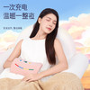 彩虹电热暖手宝（舒适插手套）T614【分仓直发，72小时发货，周末节假日不发货】(颜色随机发货，不接受指定哦~） 商品缩略图4