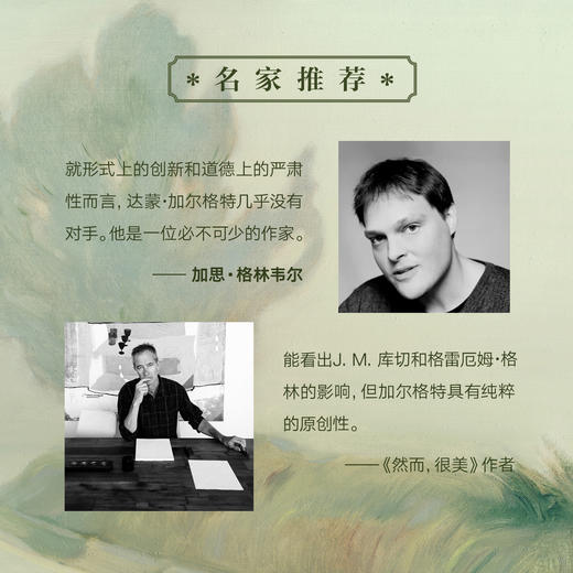 《多余人》（2021年布克奖得主达蒙·加尔格特代表作。） 商品图3