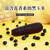 东北白糯玉米/黄糯玉米/黑糯玉米，真空锁鲜，颗粒饱满，香黏软糯，老少皆宜，特别适合身材管理期人群，全国包邮 商品缩略图11